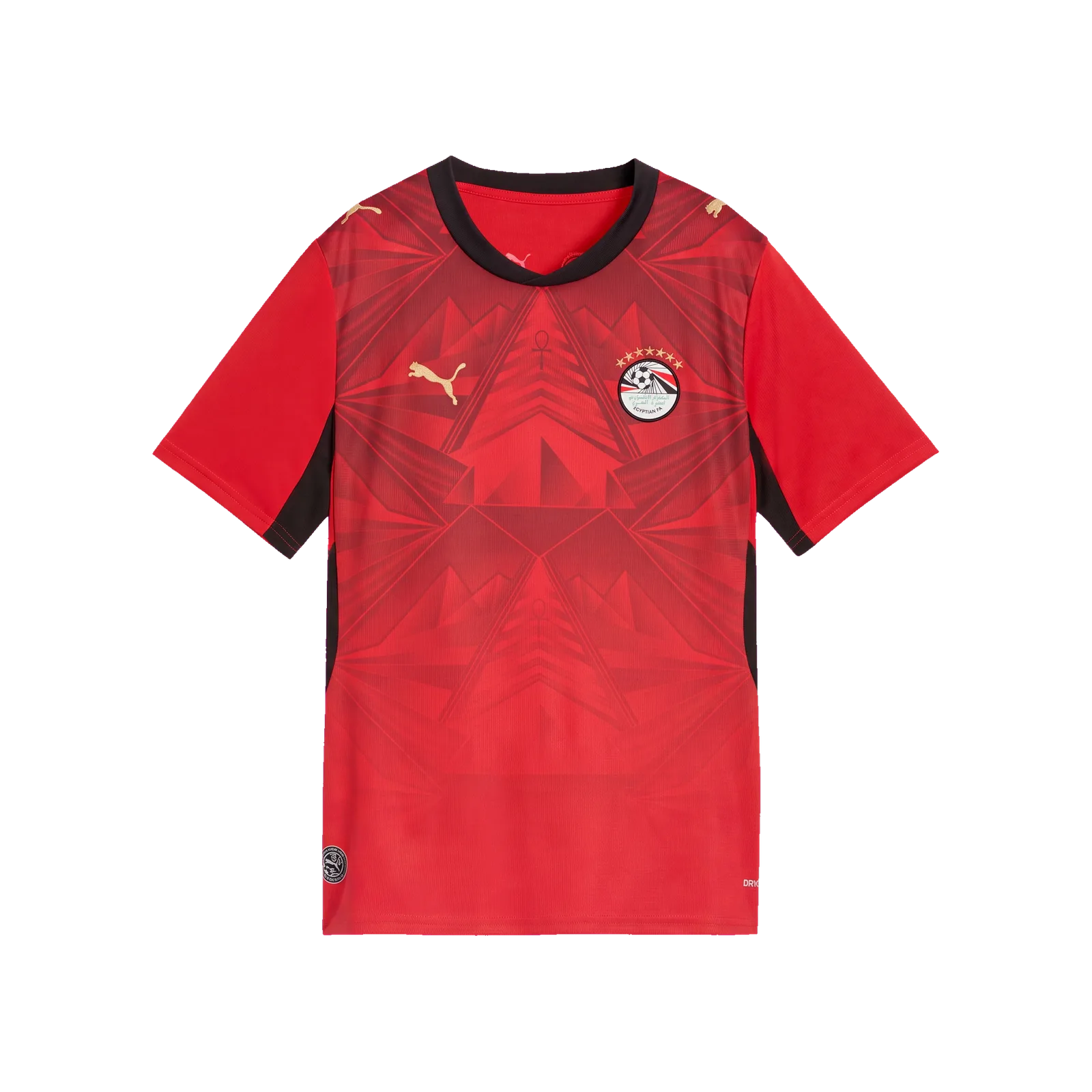 Egypt 2026 Home