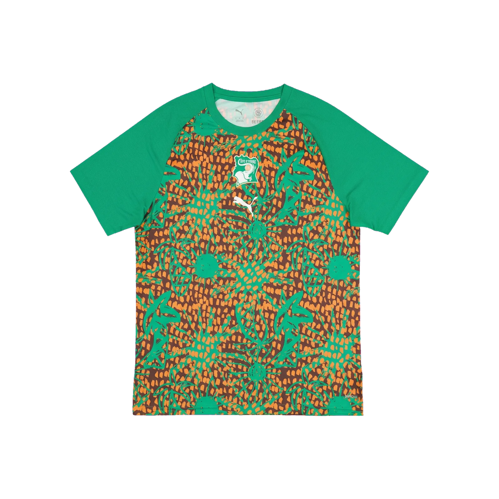 Côte d'Ivoire 2026 Prematch