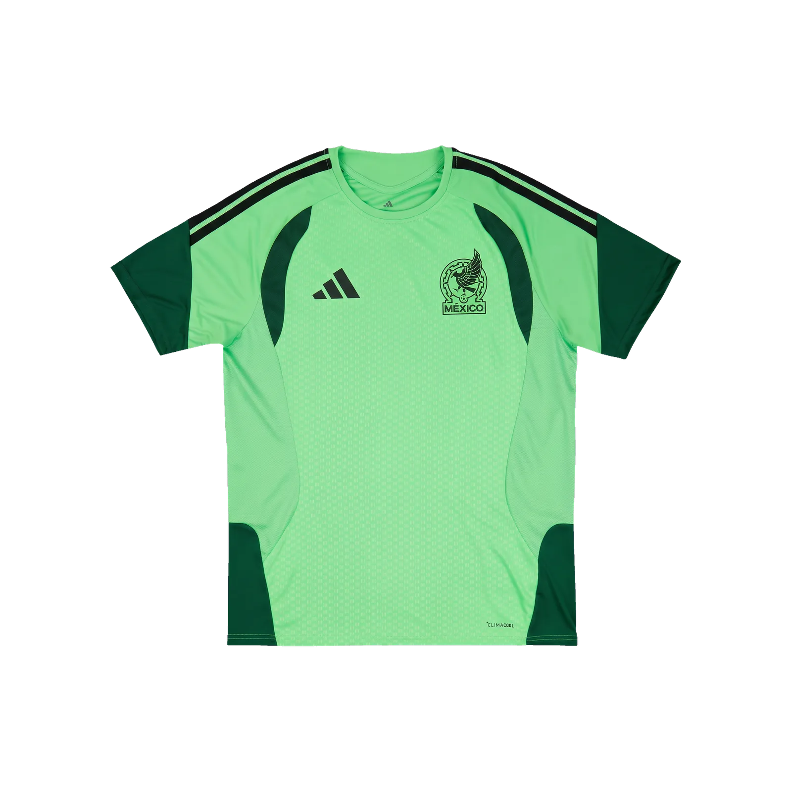 Mexico 2026 Training