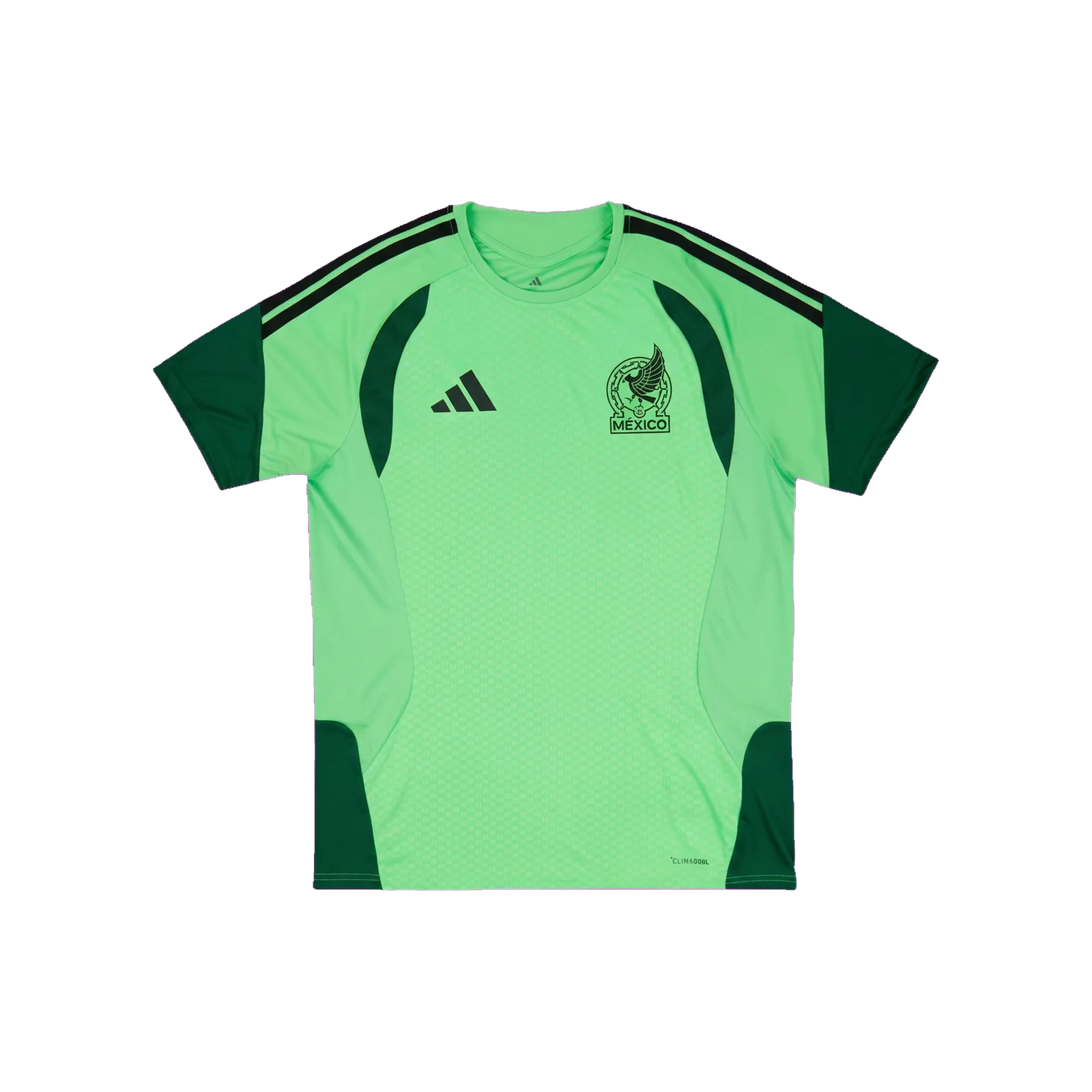 Mexico 2026 Training