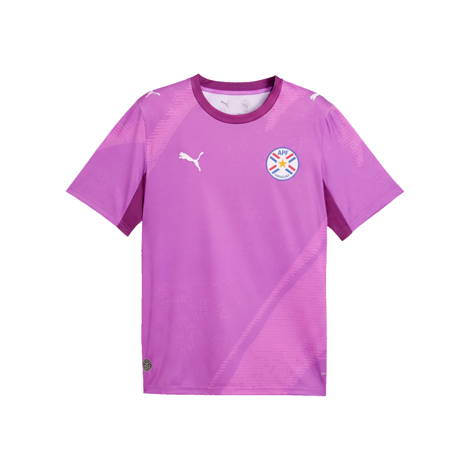 Paraguay 2026 Goalkeeper